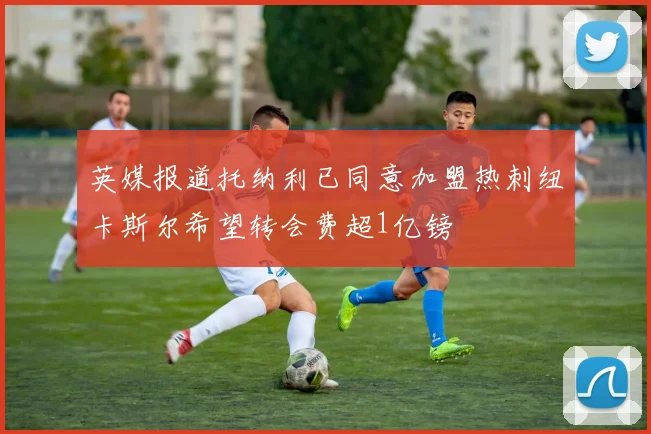 英媒报道托纳利已同意加盟热刺纽卡斯尔希望转会费超1亿镑