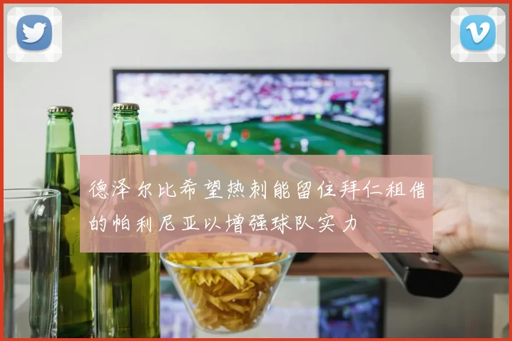 德泽尔比希望热刺能留住拜仁租借的帕利尼亚以增强球队实力