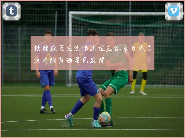 杨瀚森若无法迅速适应体系可先专注内线蓝领角色发挥